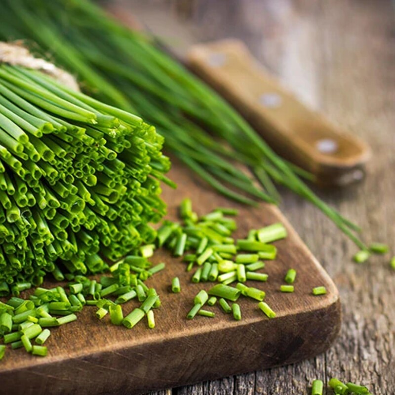 Chives (Allium schoenoprasum), whole and snipped