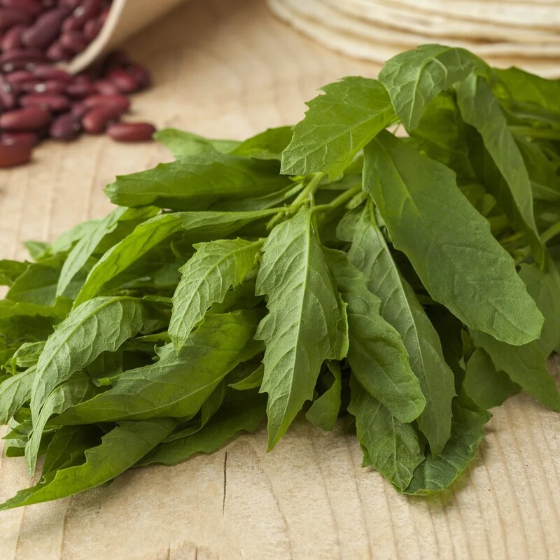 Epazote leaves