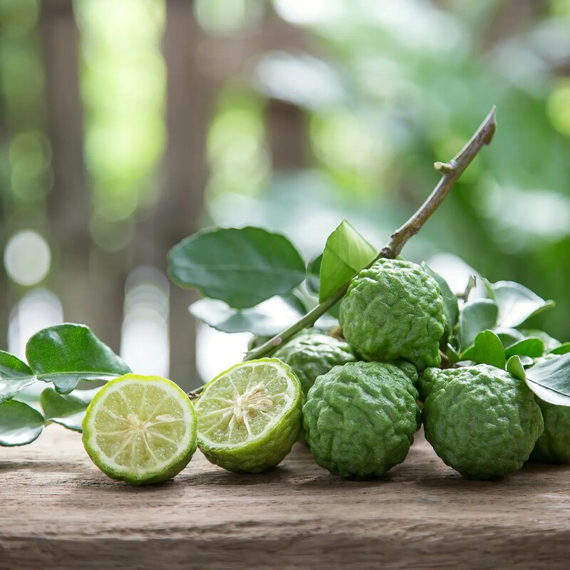 Makrut limes, with their knobbly skins, and leaves